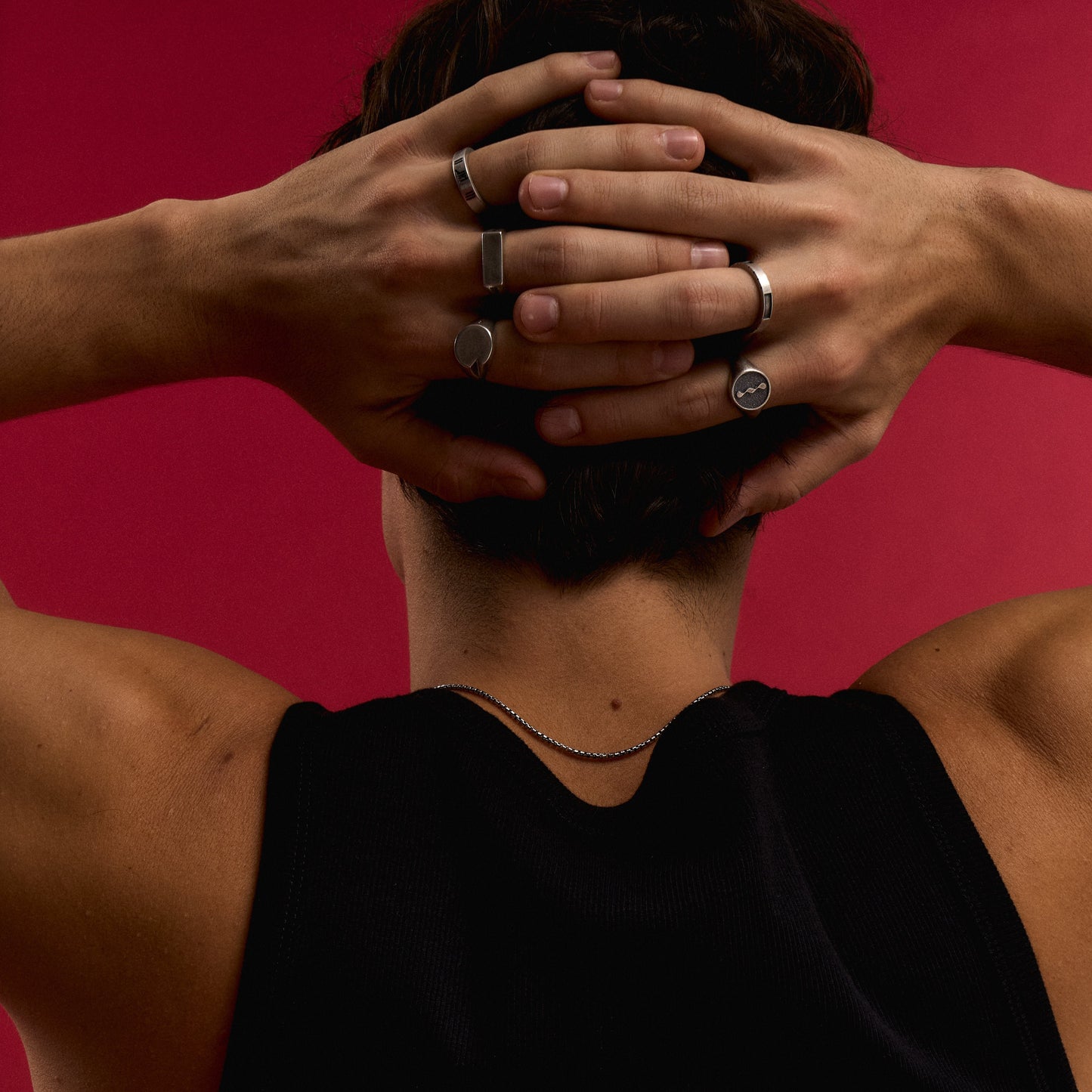 Blue SerpentSilver Rings Holding Head with Red Backdrop